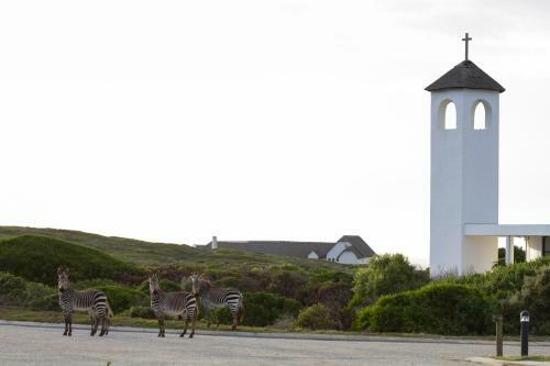 Hotel Gourikwa Nature Reserve