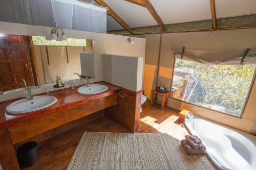Lion Tree Top Lodge