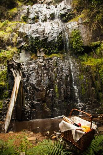 Mount Sheba Rainforest Hotel & Resort