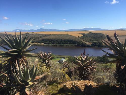 Tides River Lodge