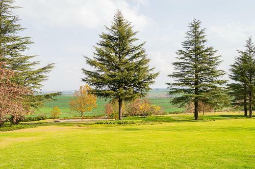 Hostal Glen Ormond