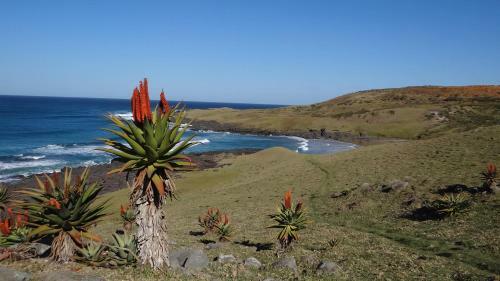 Albergue Wild Lubanzi Backpackers