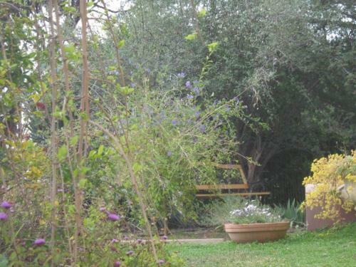 Amalie Cottage Waikerie