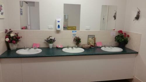 Padthaway Caravan Park
