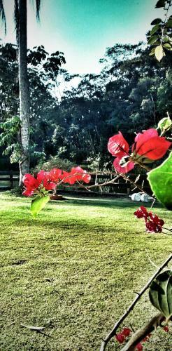 Lodge Pousada Pedra Grande Atibaia