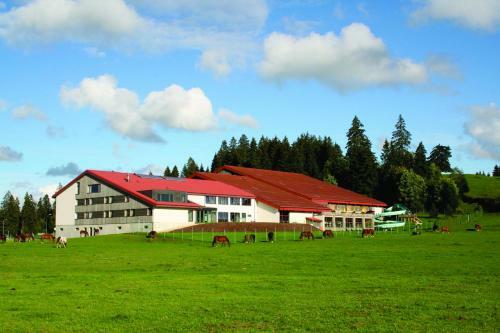 Hotel H�tel Cristal