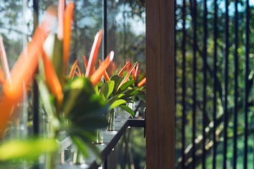 Ecolirios Boutique Hotel And Spa
