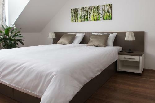Hostal Penzion Holick� Dv?r