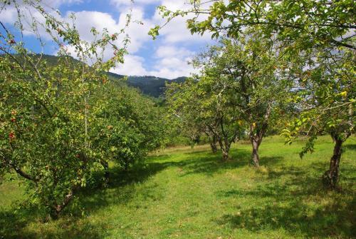 Apartamento La Casona de Candam�n