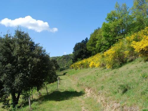 Charming Holiday Home In Etables With Swimming Pool