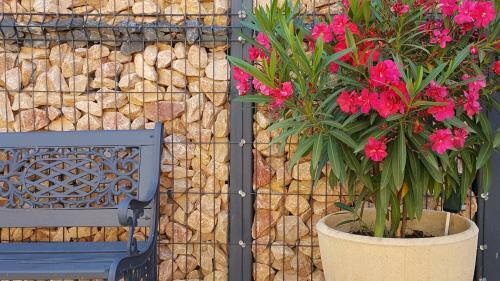 Bed & Breakfast Chambre D�h�tes L�onie & Restaurant