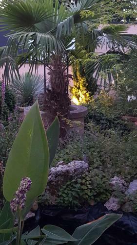 Bed & Breakfast Chambre D�h�tes L�onie & Restaurant