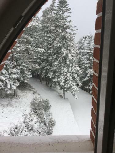 Bed & Breakfast Le Mont Besset