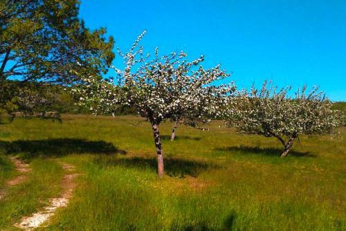 Holiday Home Lagarde-d'apt - Prv01042-f
