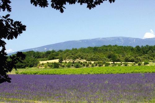 Holiday Home Lagarde-d'apt - Prv01042-f