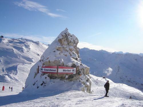 Ski Chalet - Chez Helene
