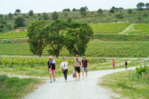 Domaine Calmel & Joseph