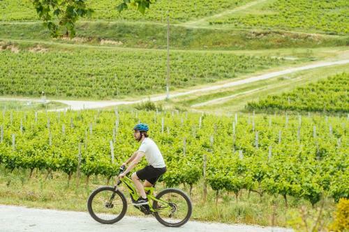 Domaine Calmel & Joseph