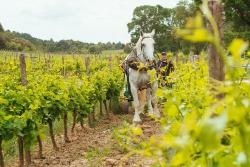 Domaine Calmel & Joseph