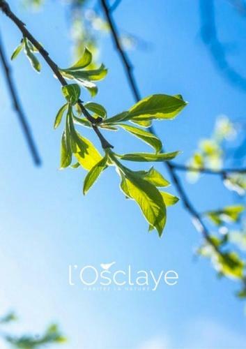 Les Lodges de L' Osclaye