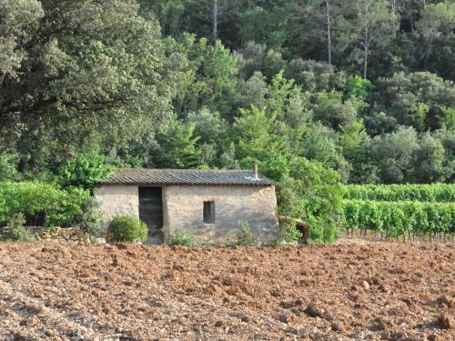 Quaint Villa In Montmeyan With Private Garden