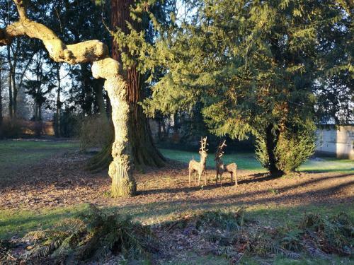 Bed & Breakfast Le Manoir de Bellacordelle