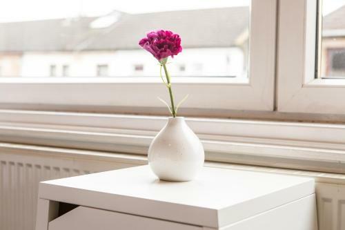 Lomond Serviced Apartments- Hydro House