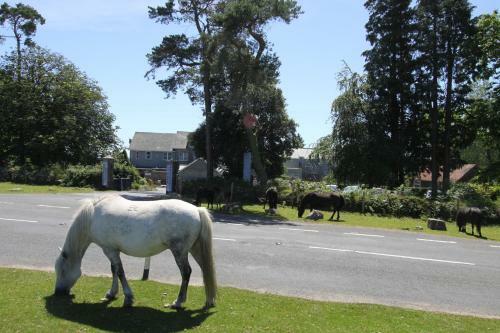 The Moorland Hotel Haytor