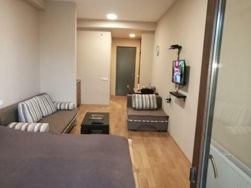 Cozy Studio Apartment In Bakuriani City