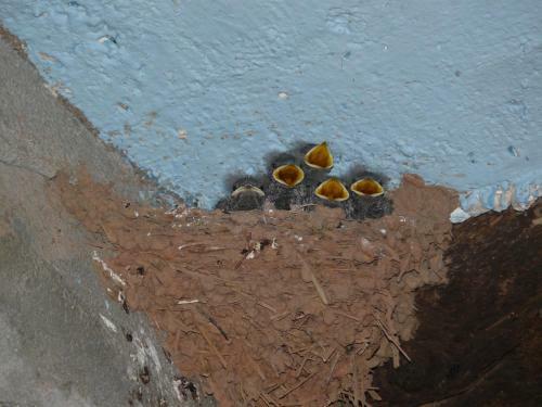 Apartamento Casa Lola