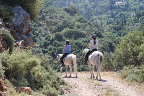 Country Hotel Velani