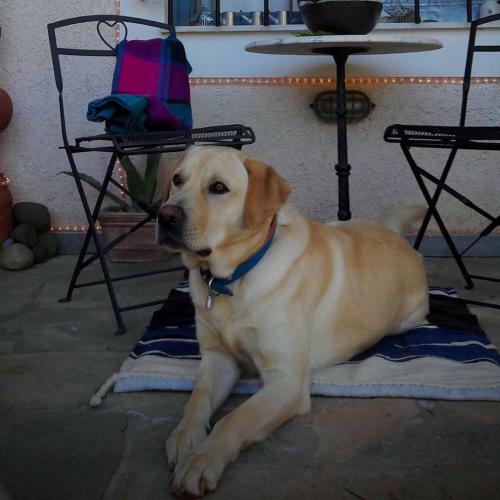 Hotel Helicon Muses Friendly Mountain B&B Guesthouse