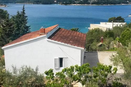 Apartments By The Sea Necujam, Solta - 8691