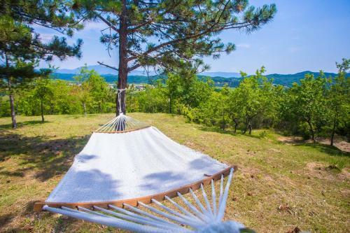 Looking For A Beautiful View And Privacy - Villa Mirna
