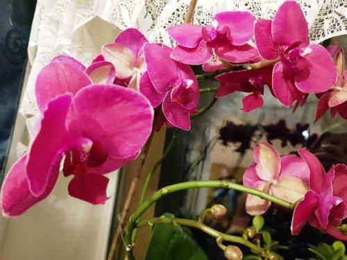 Bed & Breakfast Kincsesb�nya