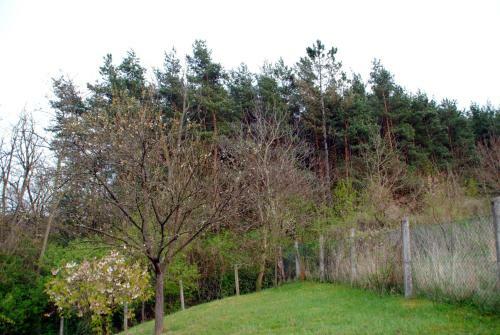 Apartamento Erd?sz�li H�zik�