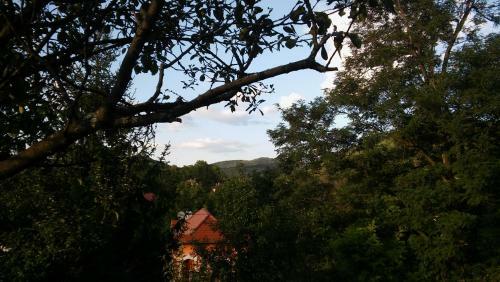 Apartamento Erd?sz�li H�zik�