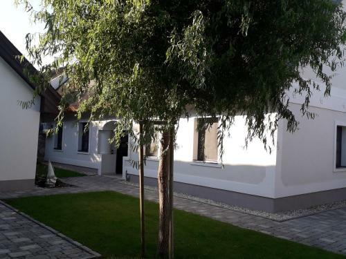 Hostal Pitypang Vend�gh�z