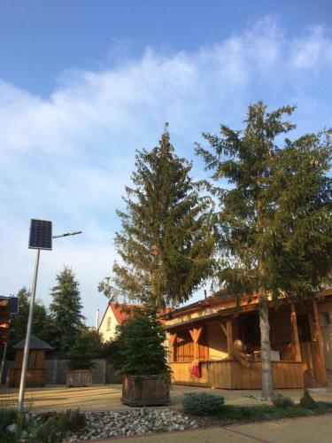 Hostal Artemisz Gasztro