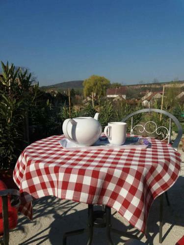 Hostal S�tor-hegy Vend�gh�z