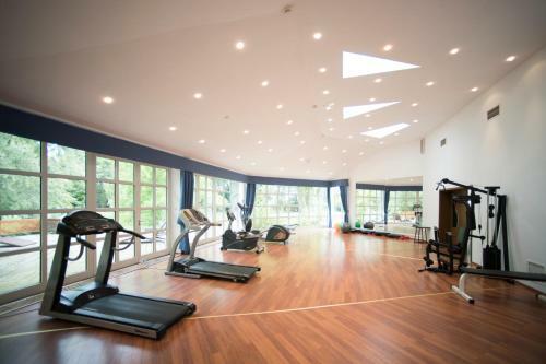 Hotel Szid�nia Manor House