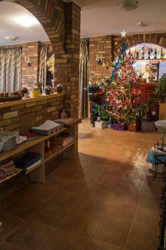 Hostal Verona Panzi�