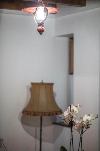 Hostal Csaronda Vendegh�z