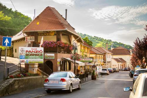 Bed & Breakfast Vask� Panzi� Borpince