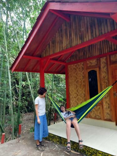 Tereng Wilis Jungle Inn