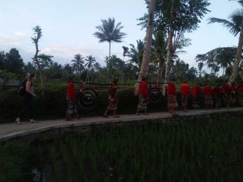 Tereng Wilis Jungle Inn