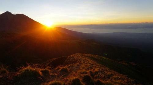 Tereng Wilis Jungle Inn