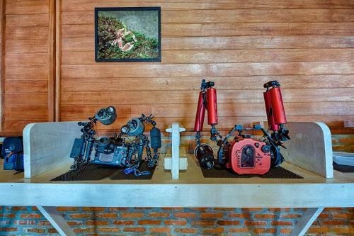 Hotel Kuda Laut Boutique Dive Resort