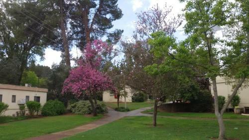 Hostal Kibbutz Gadot Guesthouse