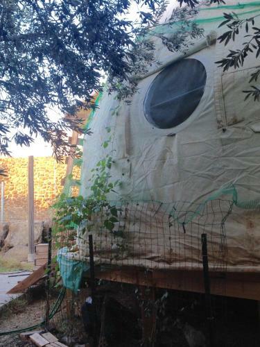 Lodge ??? ??? ???? - Dome Betzel Hazait